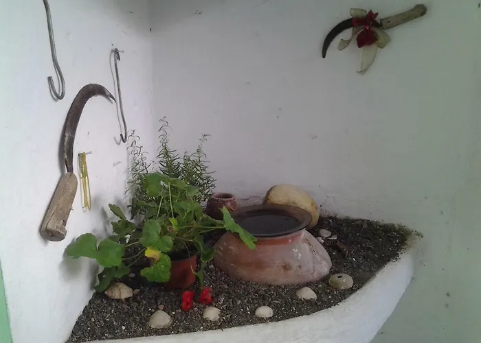 Alojamento de Turismo Rural Merche *