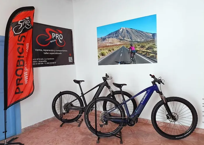 Farm stay Merche Chio (Tenerife)